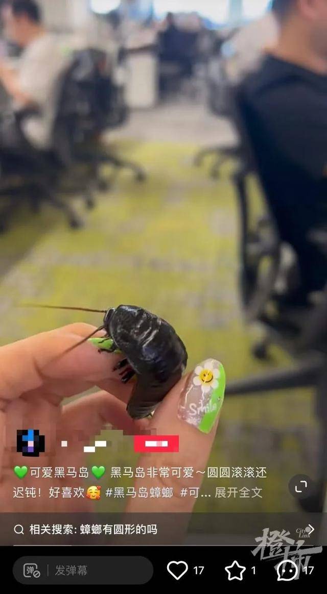 皇冠信用网庄家_门口惊现“蟑螂”皇冠信用网庄家，杭州一住户用杀虫剂一喷，邻居怒了：我的螳螂……