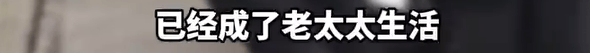 本菲卡 vs 勒洪库森_养了四年的宠物鸭被汽车碾死本菲卡 vs 勒洪库森，老太太当街包鸭痛哭，目击者：她老伴重病，鸭子是用来祈福的