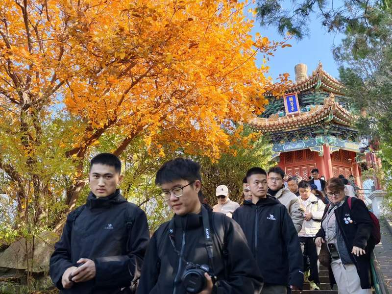 皇冠信用网出租足球_景山公园迎来彩叶最佳观赏期皇冠信用网出租足球，推荐路线来了