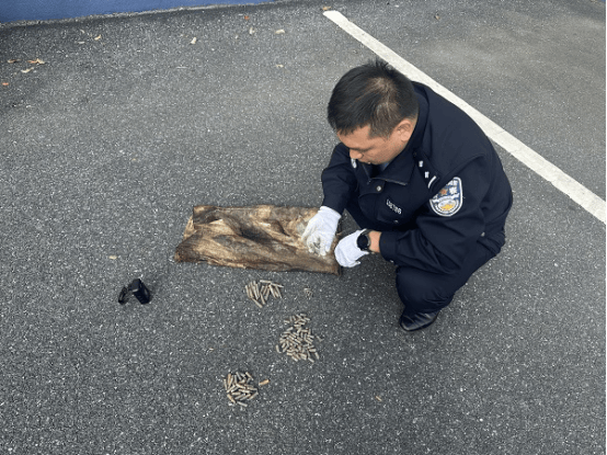 皇冠信用网在线注册_男子钓到108发子弹以为是大鱼皇冠信用网在线注册，警方：疑似为历史遗留弹药，已移交至相关部门处理