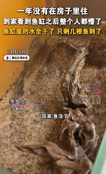 皇冠信用網代理_哈尔滨女子离家一年回家发现“活鱼变鱼刺”