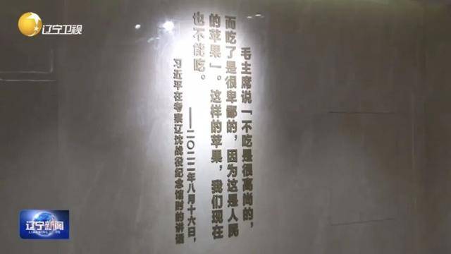 弗拉门戈足球_辽宁省委书记许昆林弗拉门戈足球，重温“人民的苹果”故事
