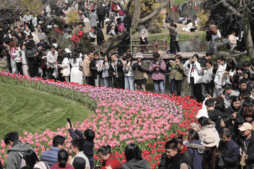 皇冠信用网代理登1 _飙到20℃！杭州人注意皇冠信用网代理登1 ，大反转来了！时间已确定......