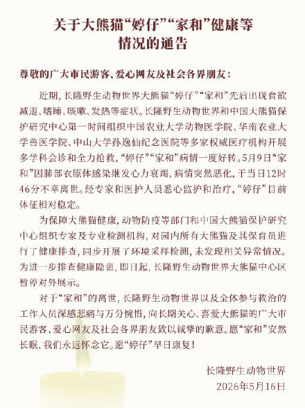 皇冠登录地址_广州长隆野生动物世界：大熊猫家和不幸离世皇冠登录地址，大熊猫婷仔体征相对稳定
